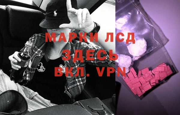 амф Алзамай