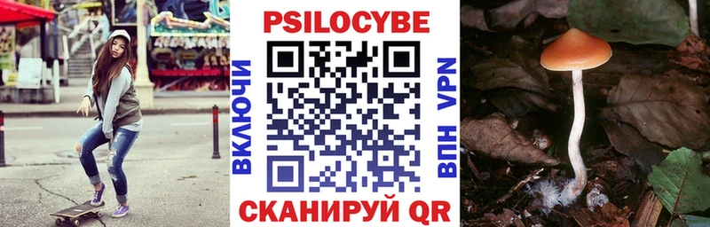 Галлюциногенные грибы мицелий  где купить наркоту  blacksprut зеркало  Дальнереченск 